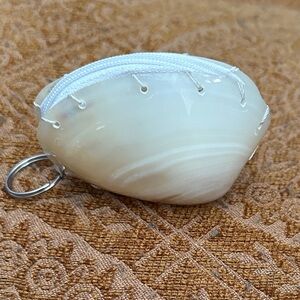 Vintage Unique Shell Purse or Trinket Box